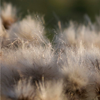 natura_02