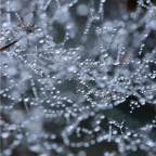 natura_04