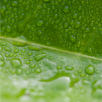 natura_06