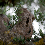 natura_16