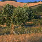 natura_18