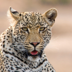 natura_24