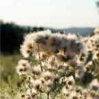 natura_25